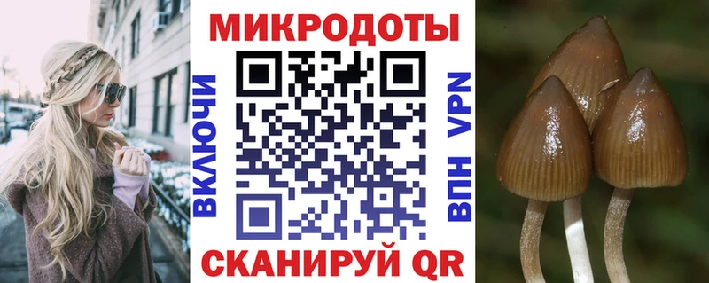 дарнет шоп  Туймазы  Галлюциногенные грибы мицелий 