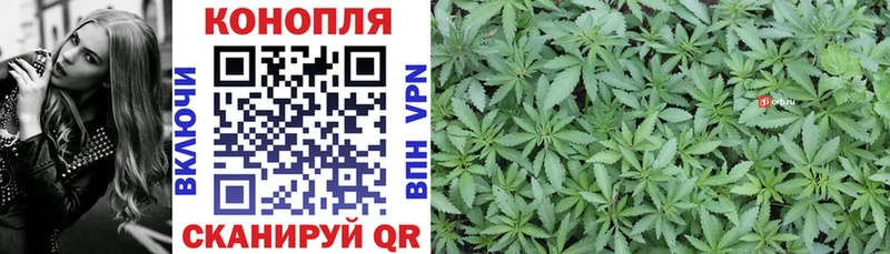 kraken маркетплейс  Туймазы  Шишки марихуана сатива 